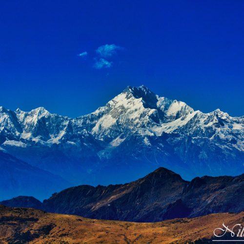 queen-of-hills
